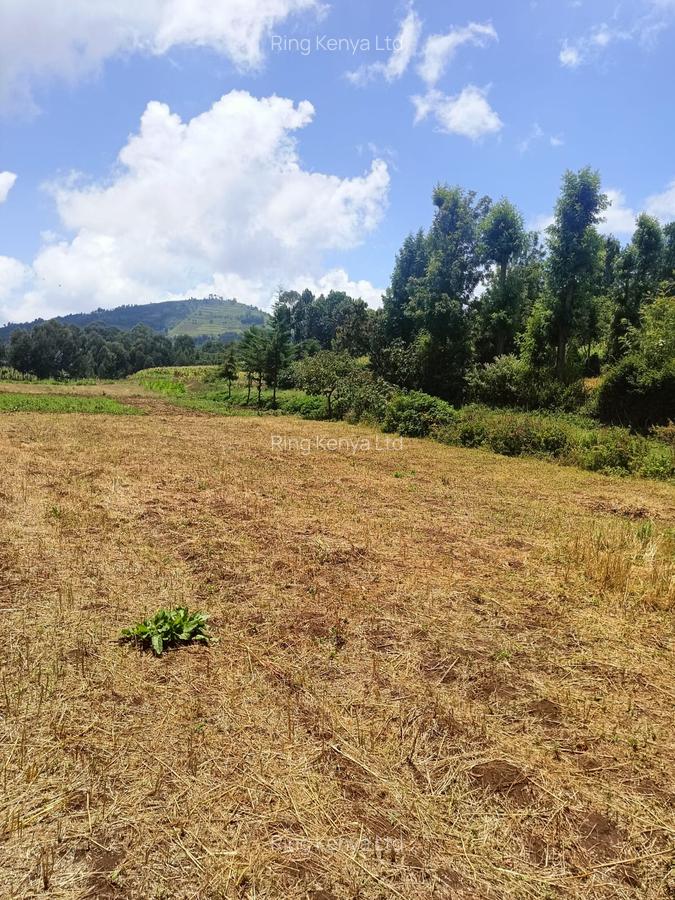 Land at Kibirichia - 4