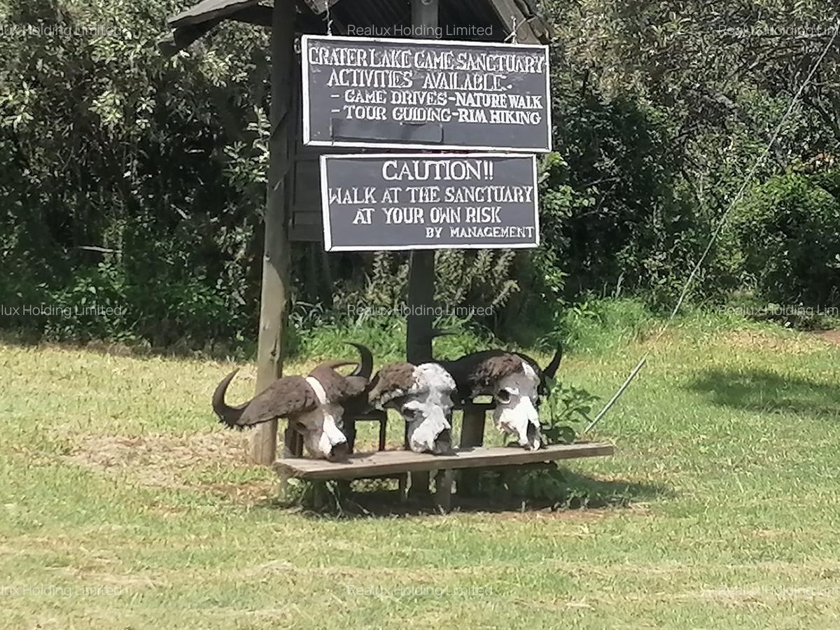 Commercial Land in Naivasha - 13