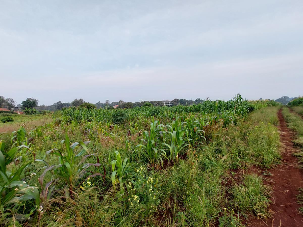 Residential Land at Kirawa Road - 8