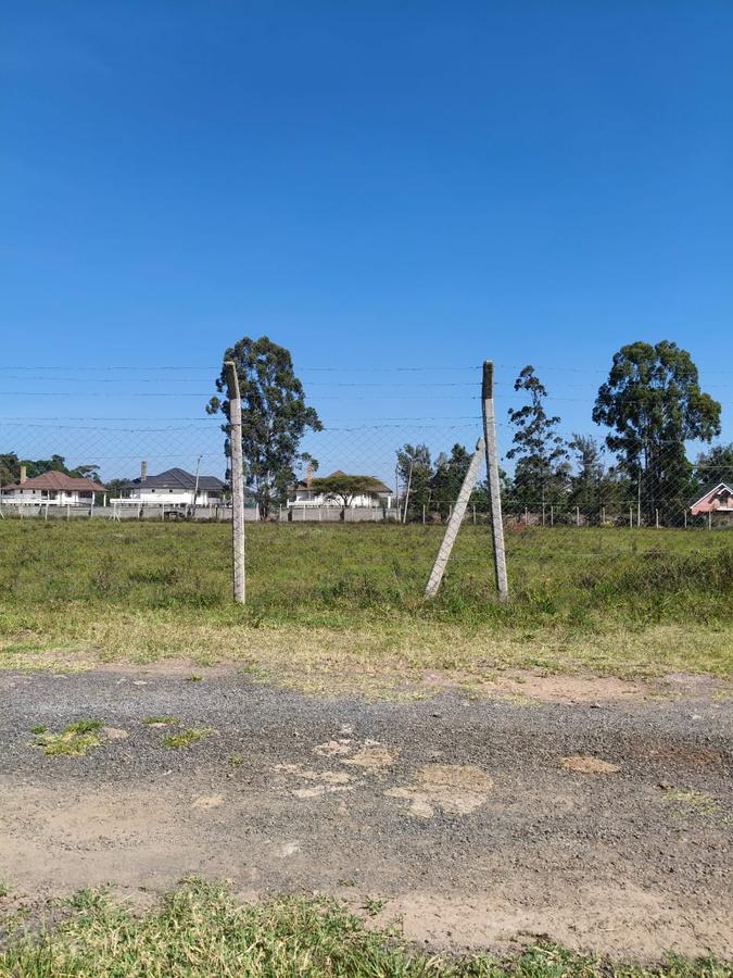 Residential Land at Marula Road - 12