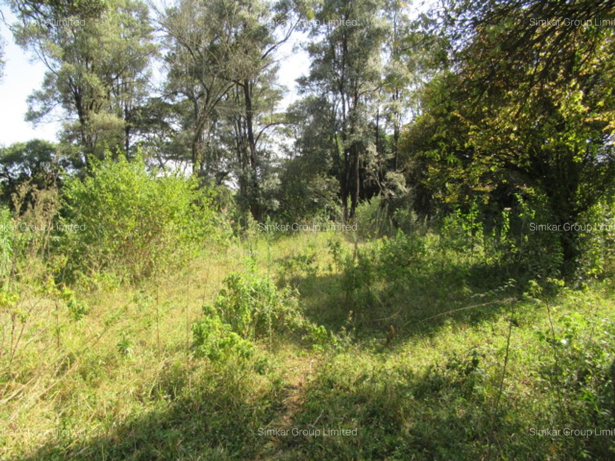 9 ac Land at Karen - 9