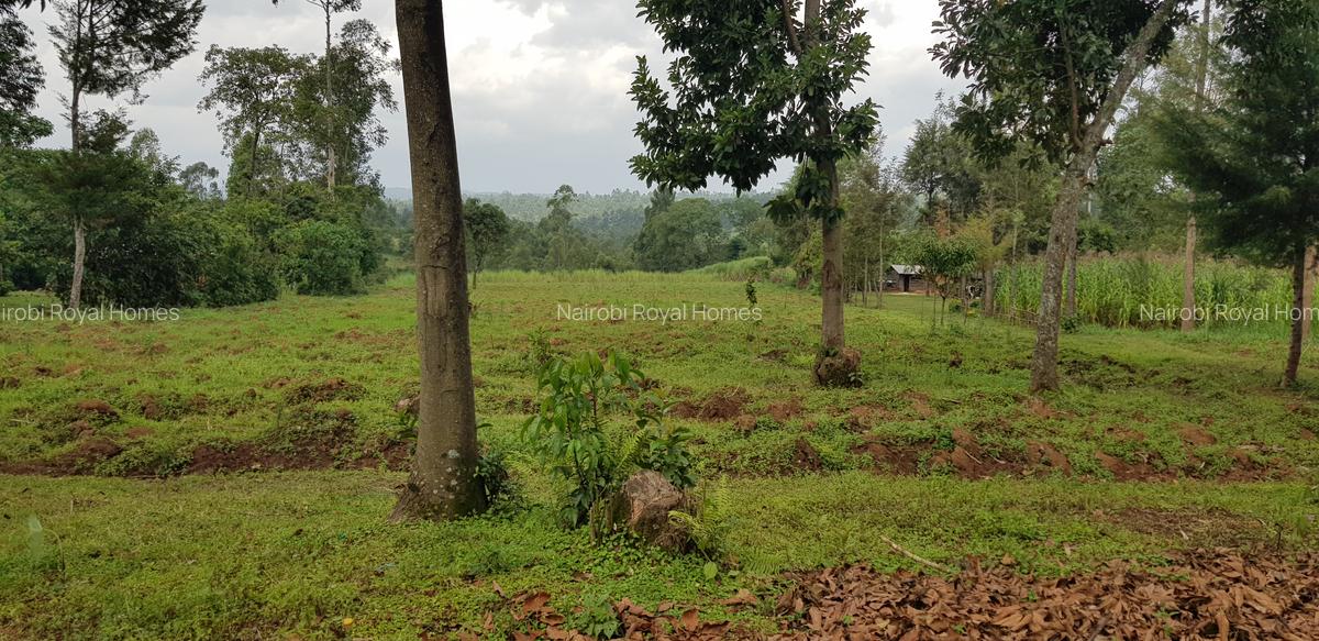 Residential Land at Mokoyot Close - 11