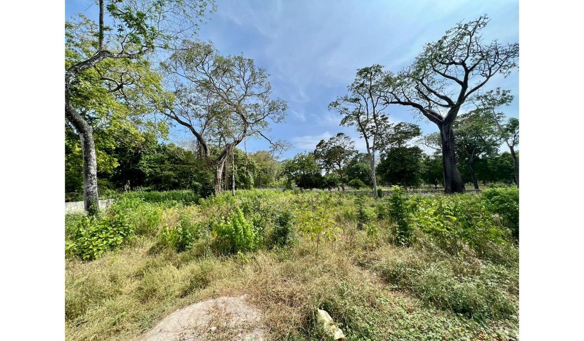 Residential Land in Diani - 4