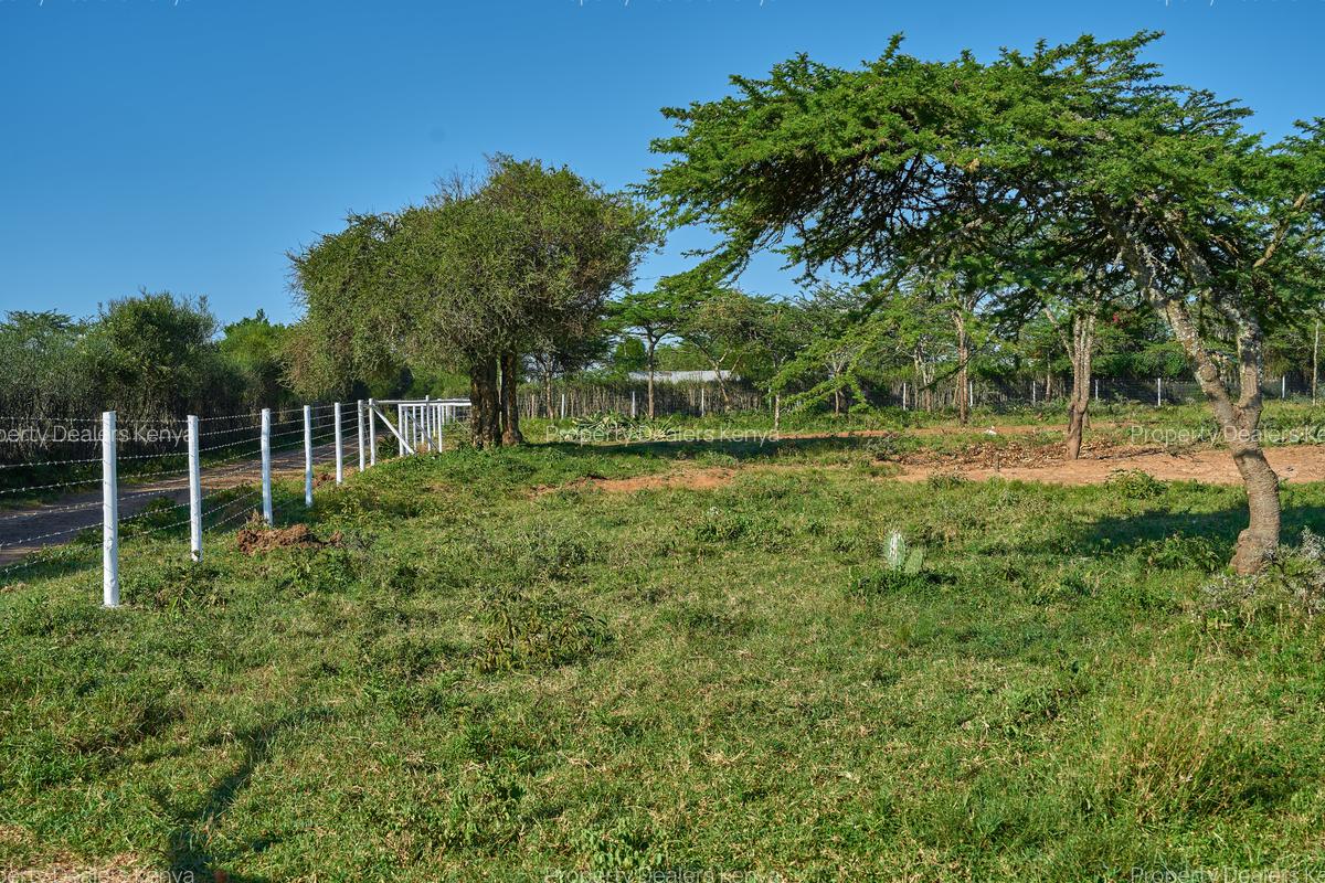 505 ac Land at Maiyan Road - 9