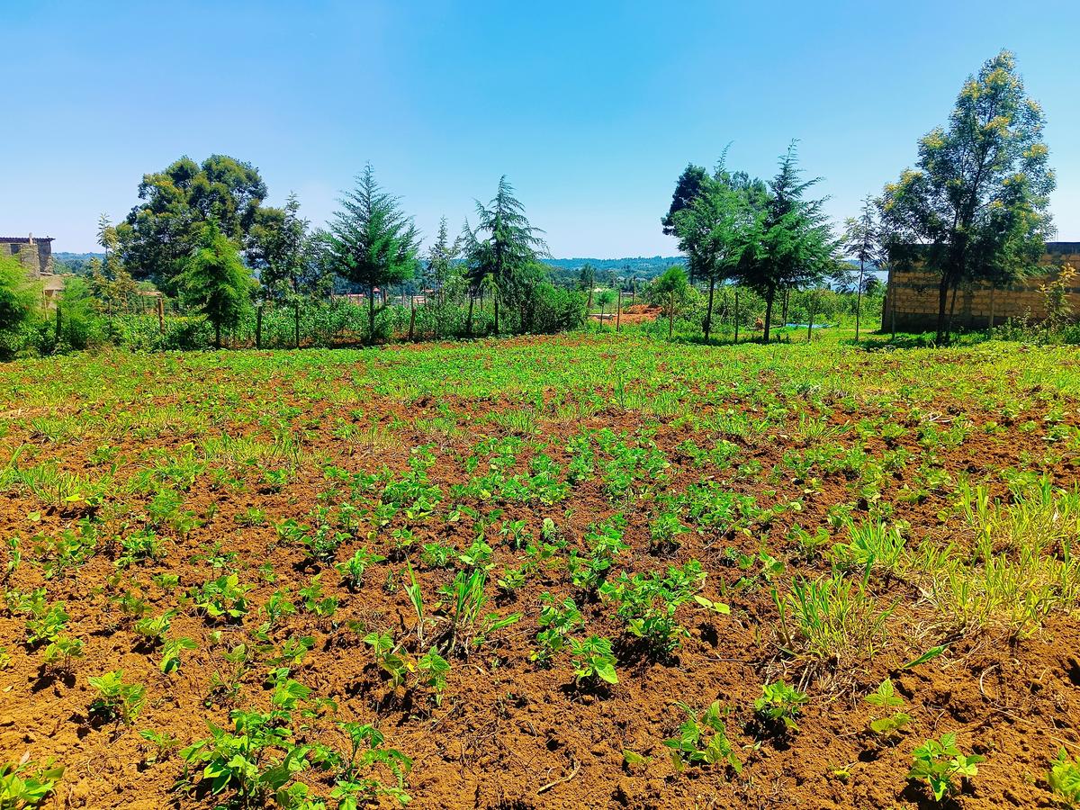 500 m² Residential Land at Runana Area - 7