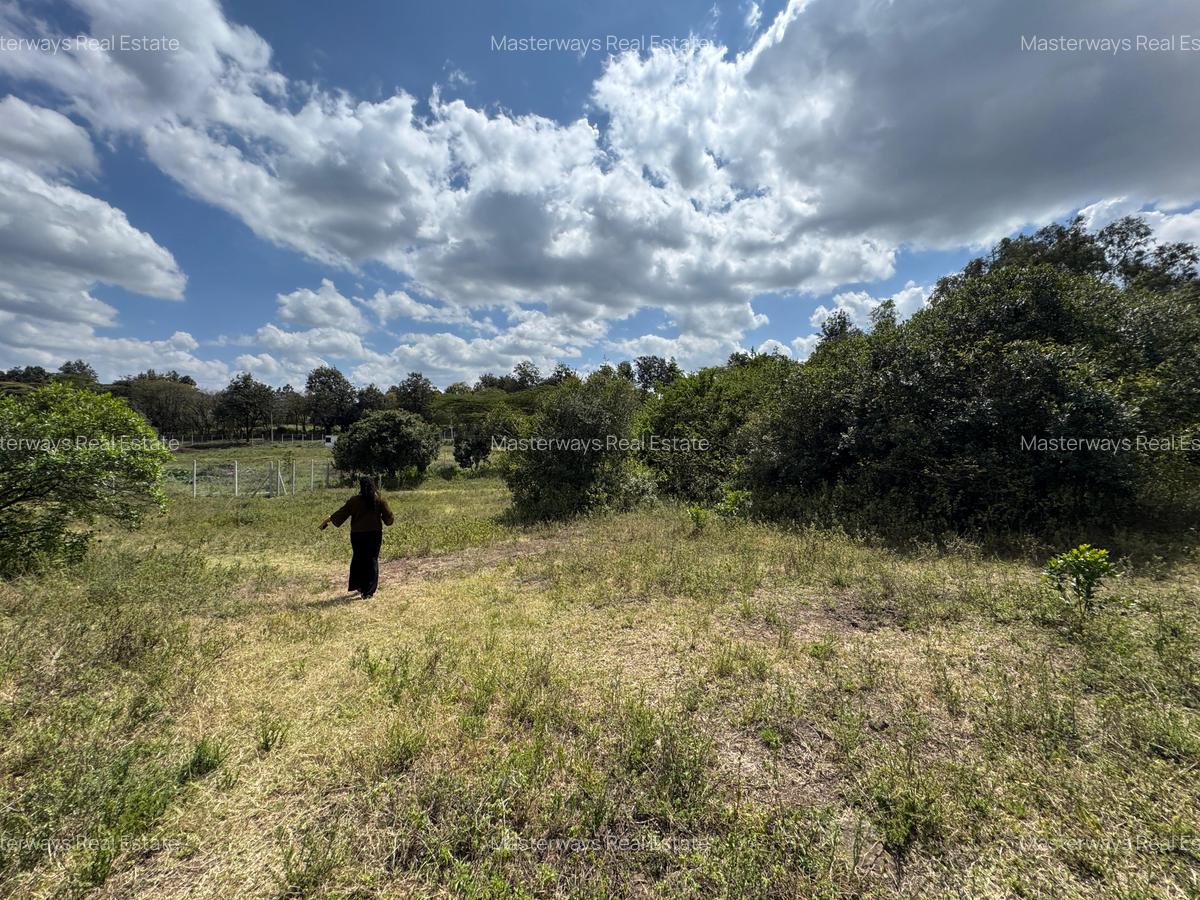 1 ac Land in Karen - 6