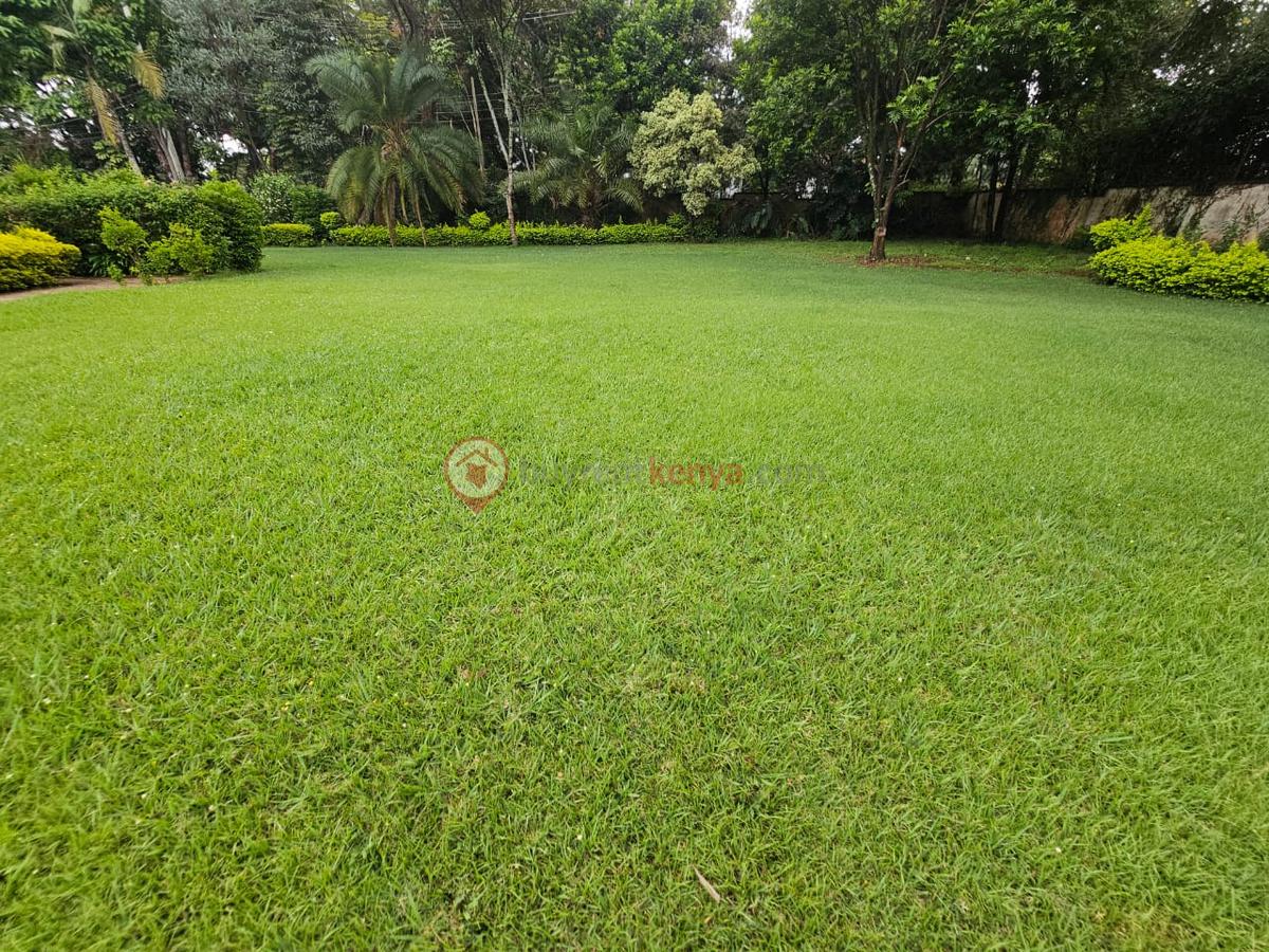 4 Bed House with En Suite in Muthaiga - 3