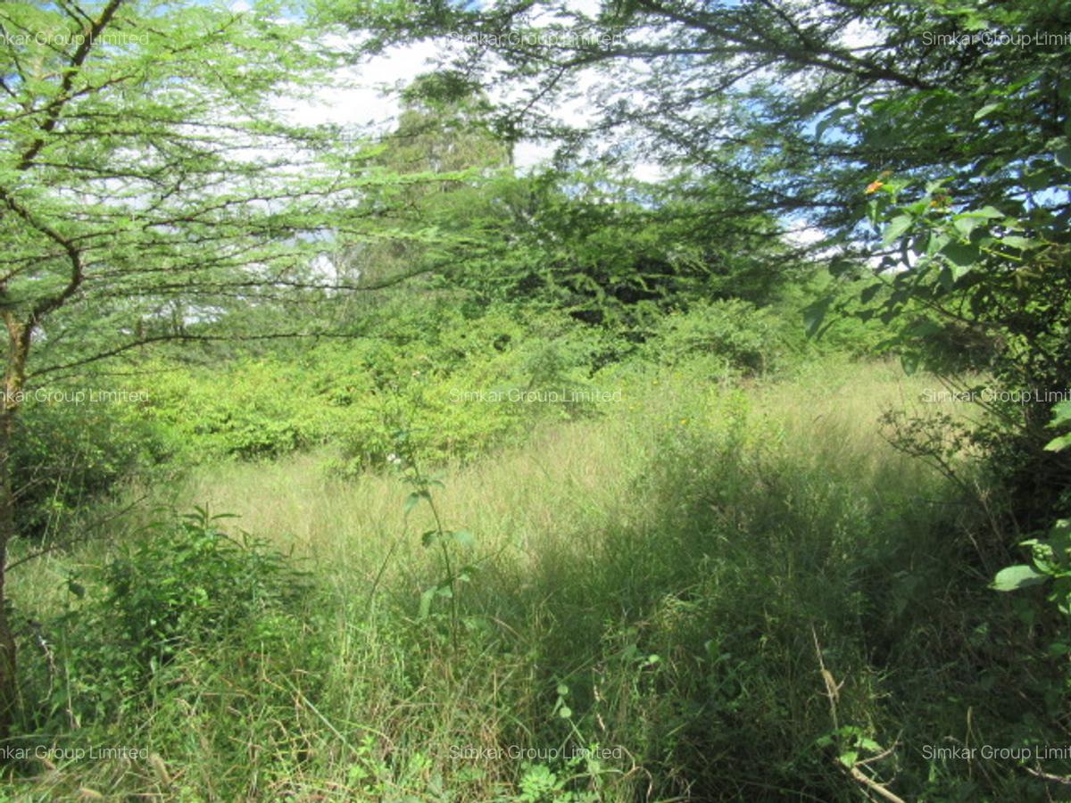 Land at Rongai - 11