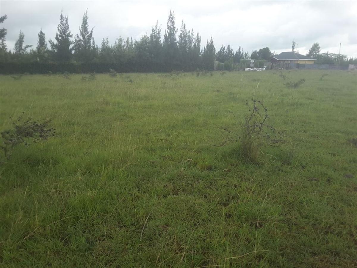 0.1 ac Residential Land in Ongata Rongai - 10