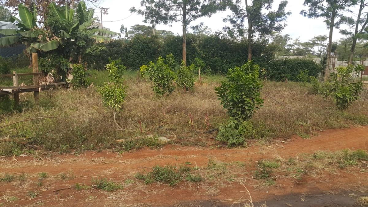 Land in Ngong - 1