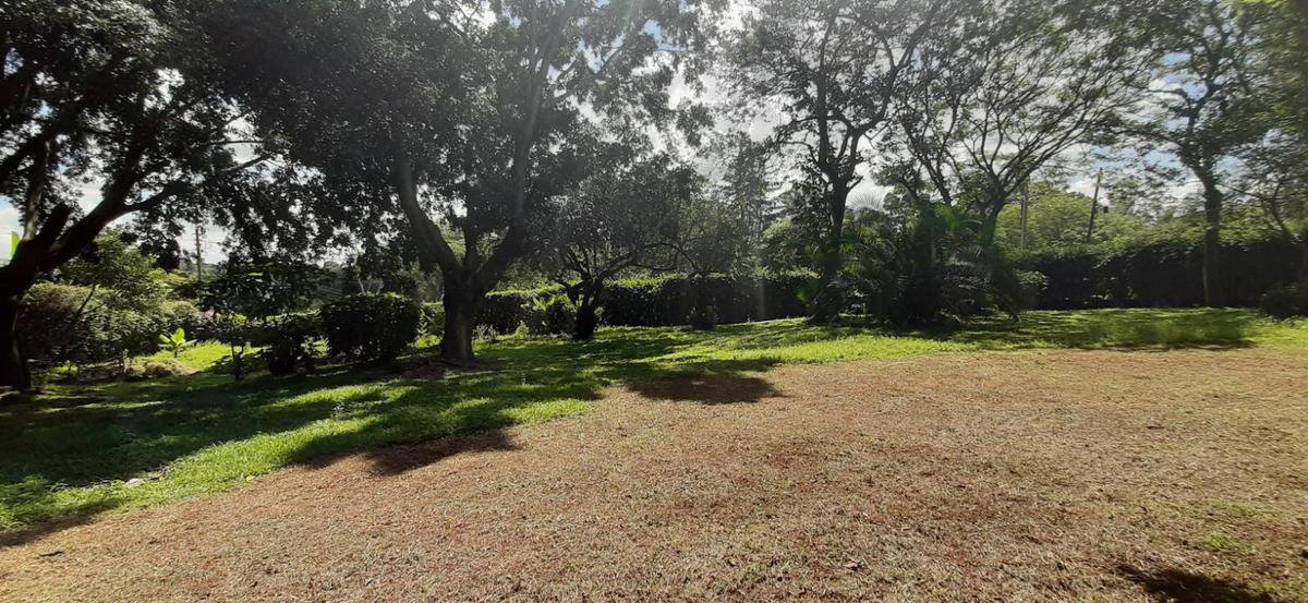 0.5 ac Land at Runda Ridge - 6