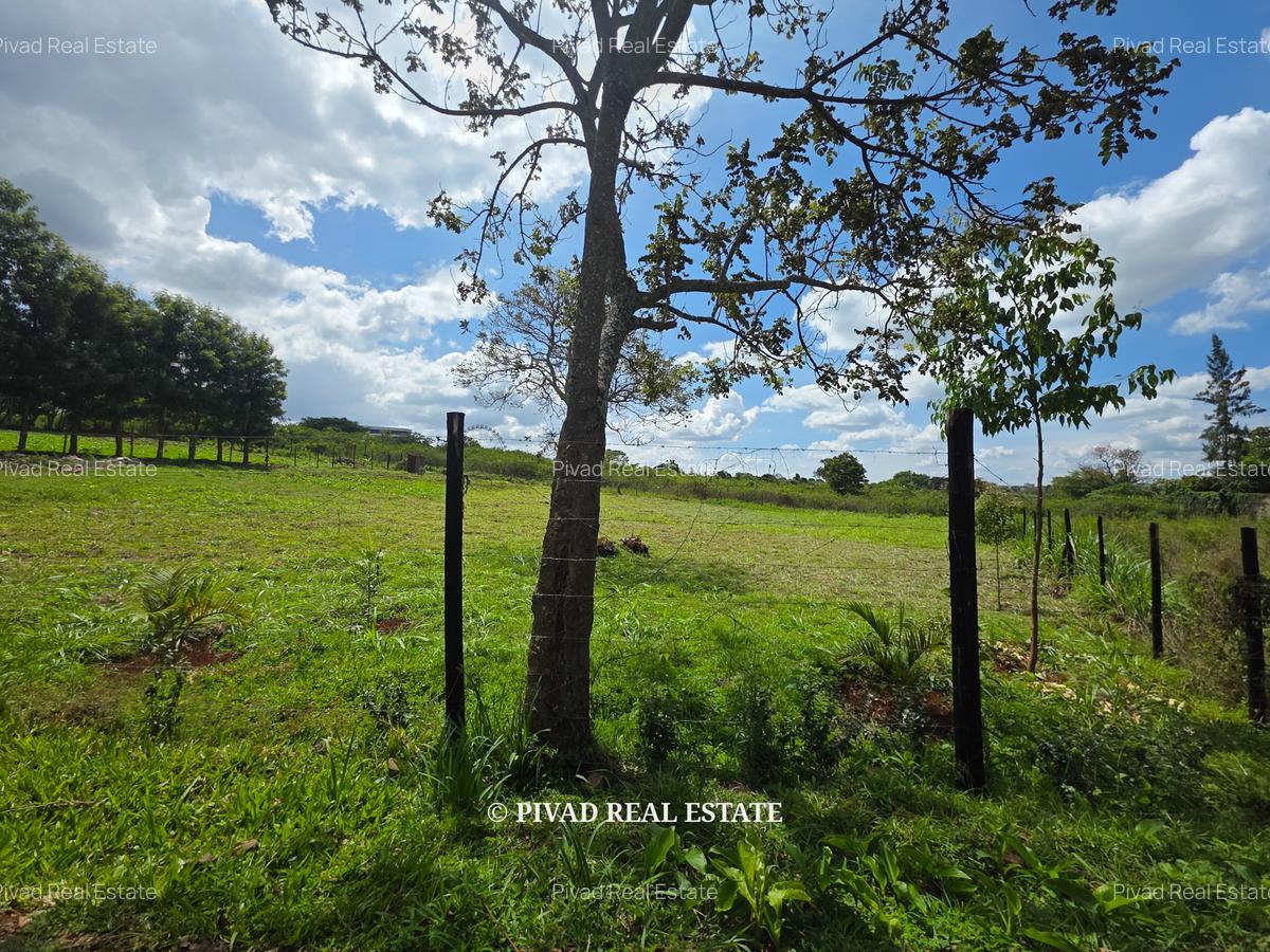 0.75 ac Land in Runda - 3