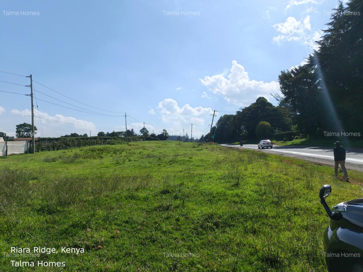 Land at Tigoni - 7