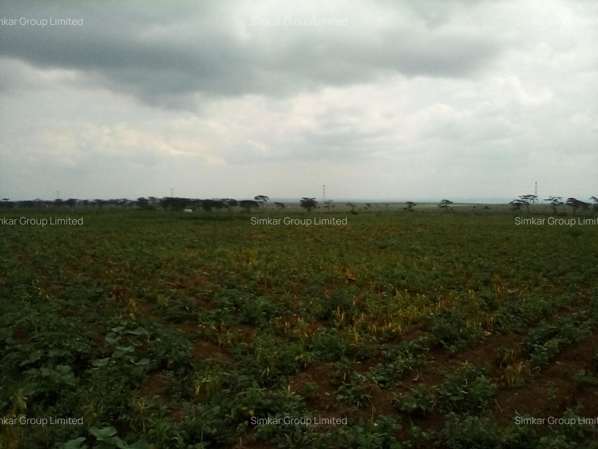 Land at Nanyuki-Rumuruti Rd - 5