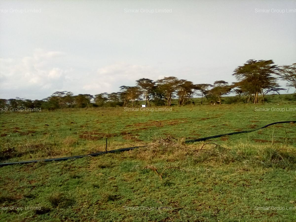 Land at Nanyuki Rumuruti Rd BuyRentKenya