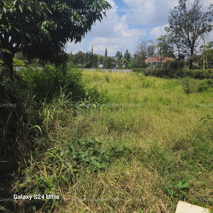 0.6 ac Land at Rundaevergreen - 3