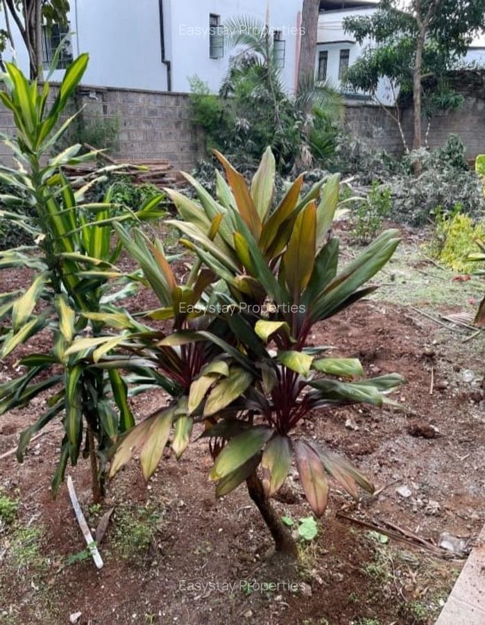 3 Bed Apartment with Parking in Kilimani - 5