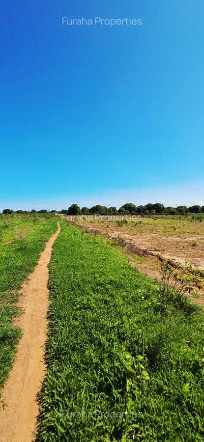 Land at Vipingo - 10