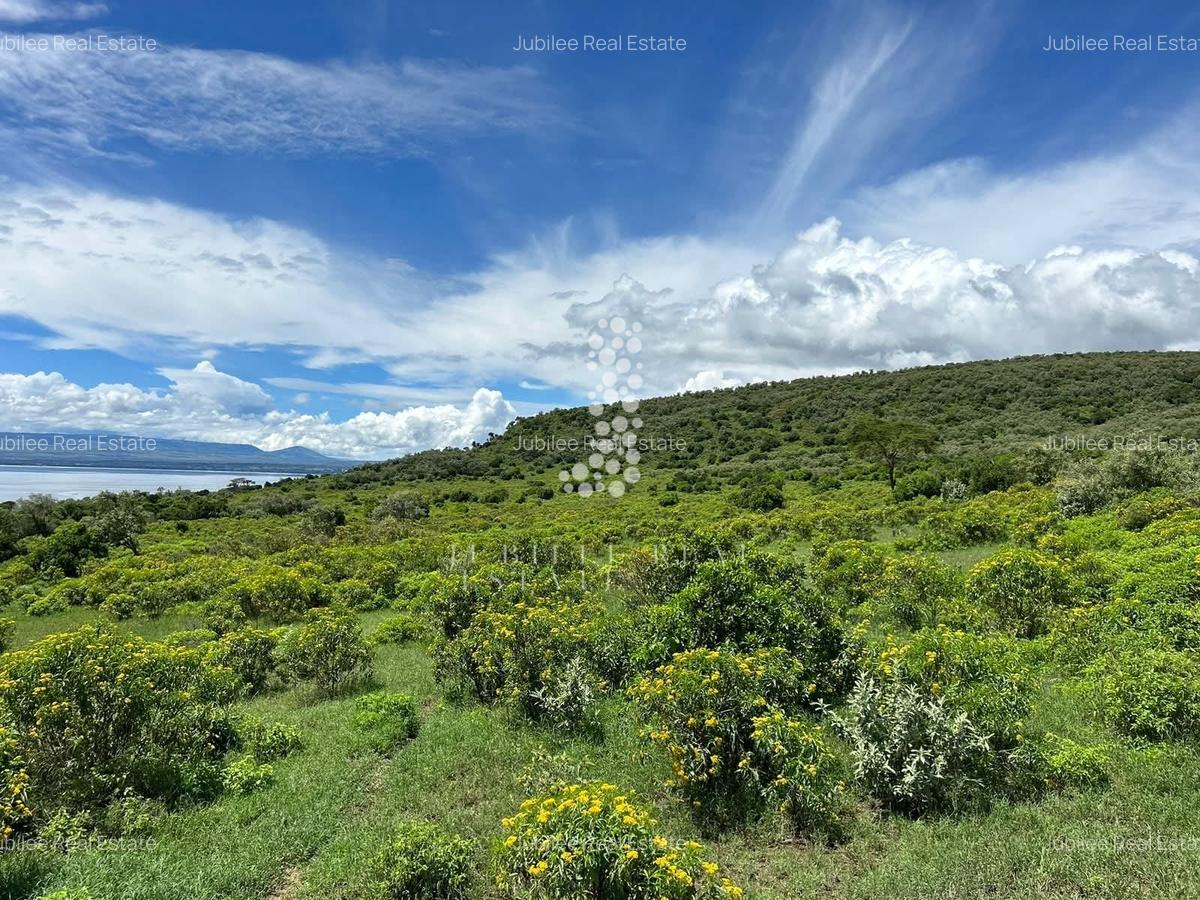 21.1 ac Land in Naivasha - 6