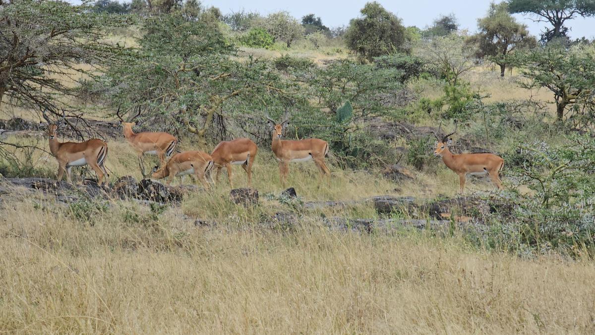 5,000 ac Land at Mombasa Road - 1