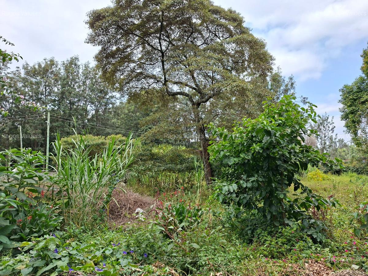 0.5 ac Land at Hillcrest Road - 9