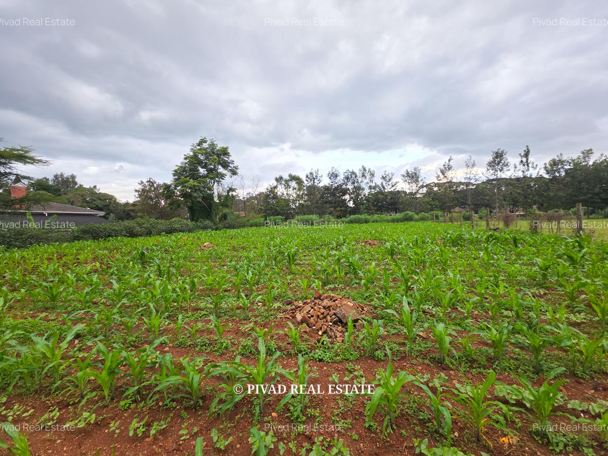 0.5 ac Land in Ridgeways - 1