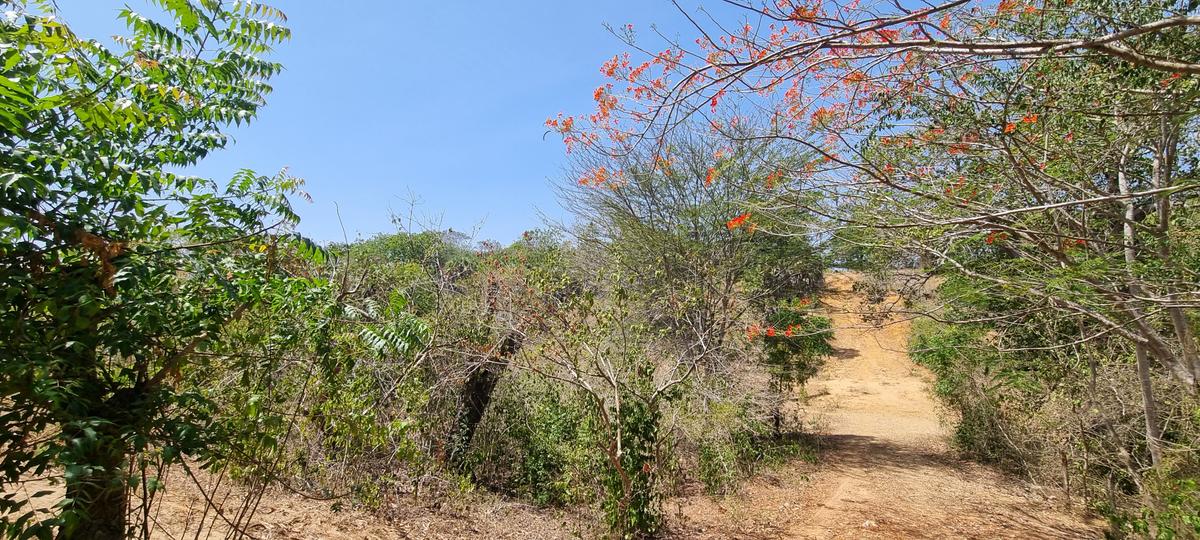 1 ac Land at Mtwapa Creekside - 12