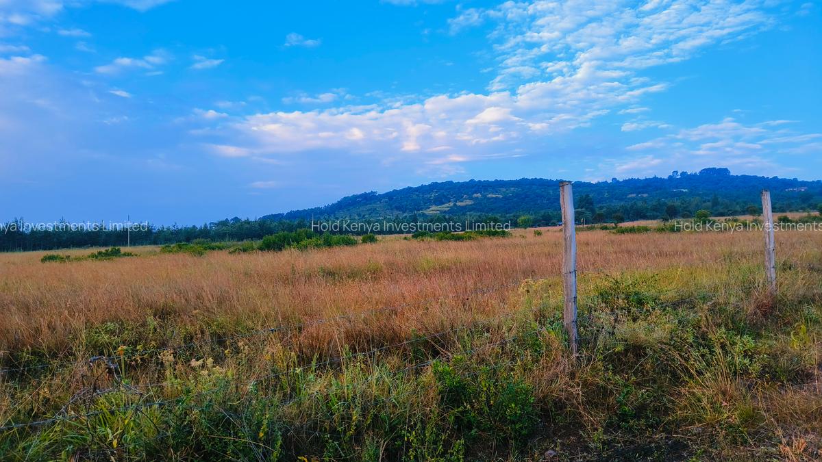 10 ac Land at Mweiga - 4