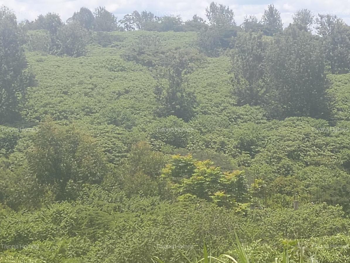 0.25 ac Land in Ruiru - 1