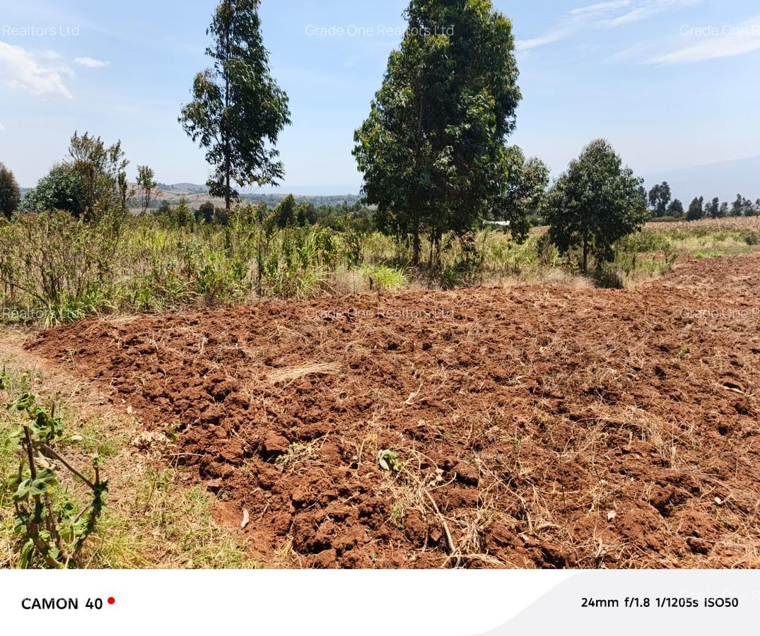 Land in Kikuyu Town - 2