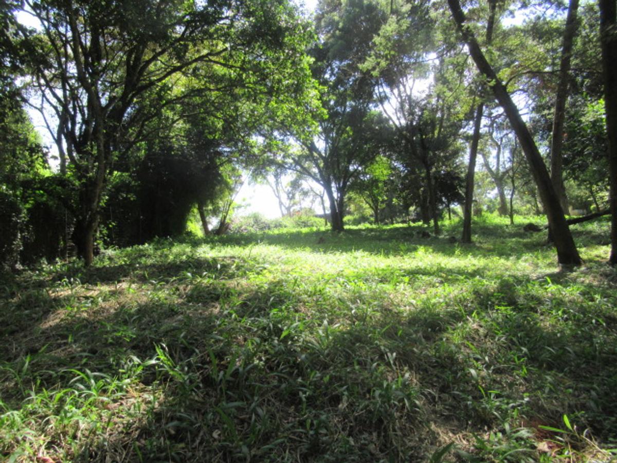 Land at Off Lower Kabete Rd - 11