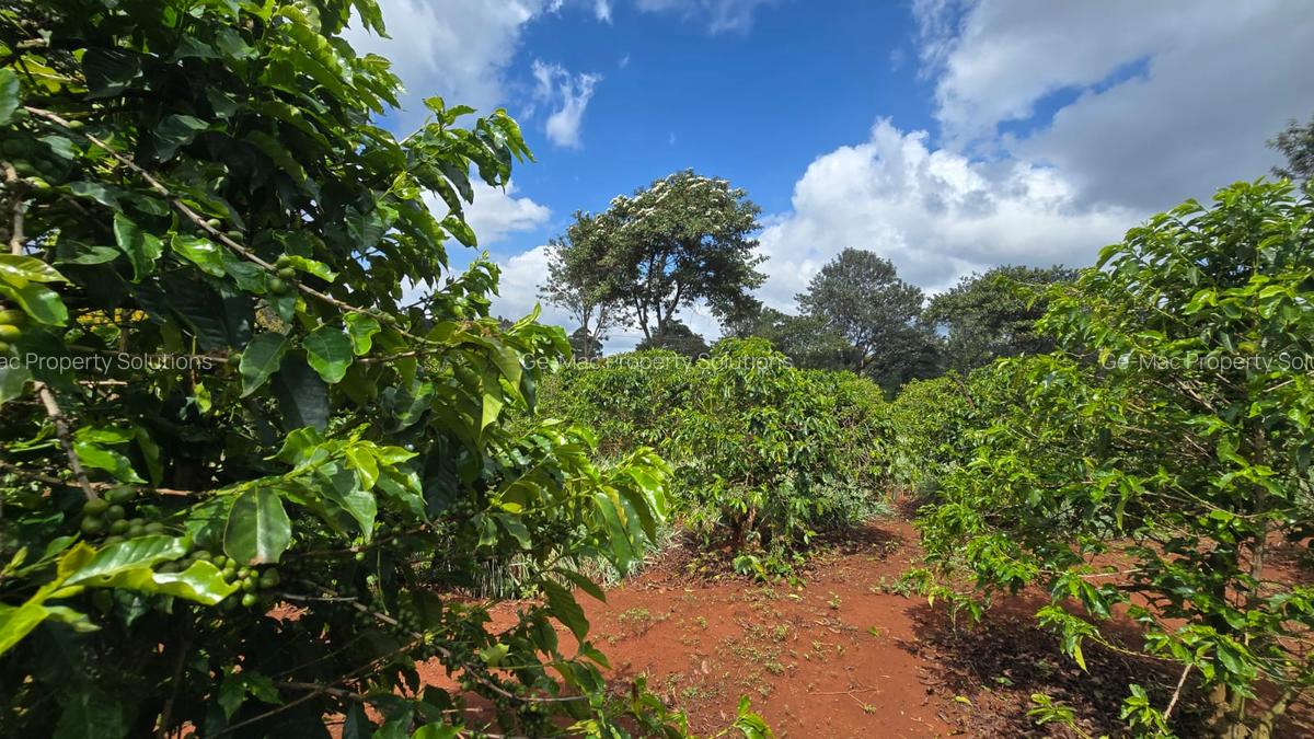 0.25 ac Residential Land at Kamiti Road - 4