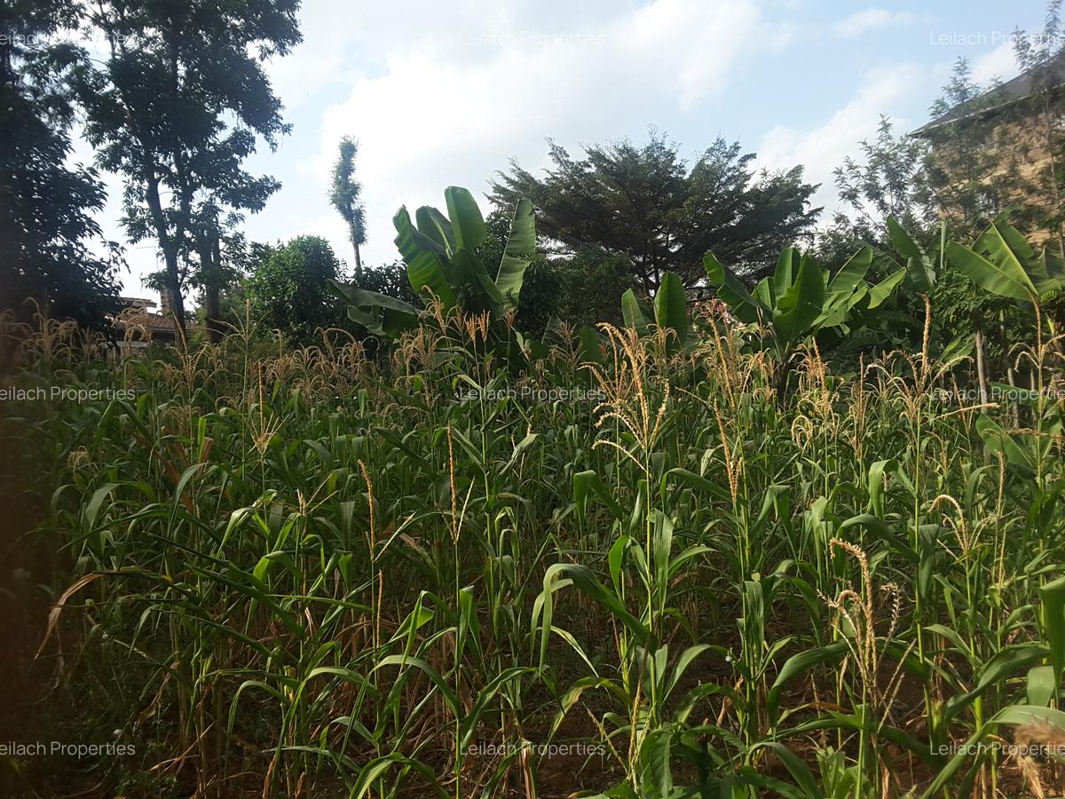0.113 ac Commercial Land in Ongata Rongai - 12