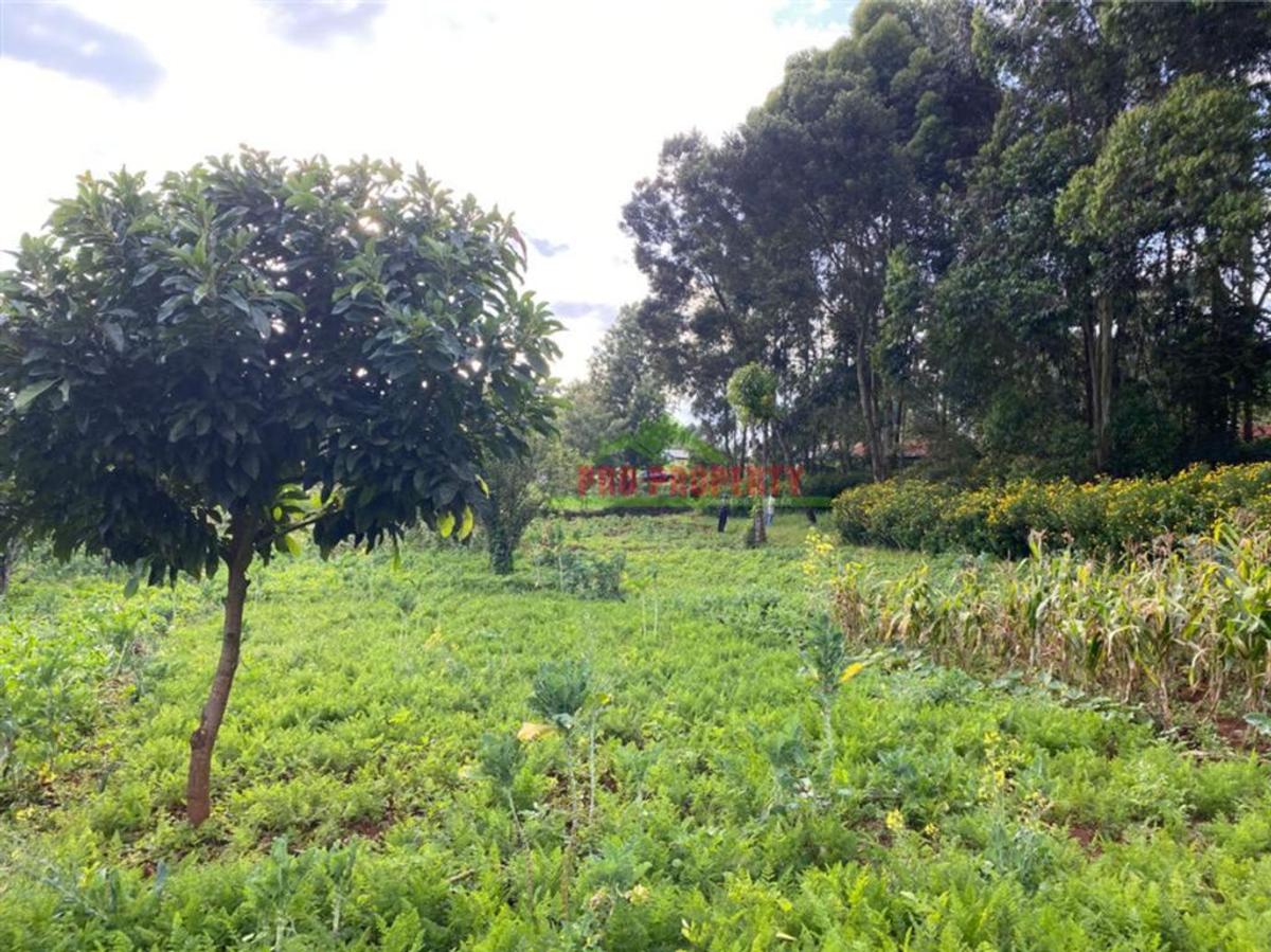 4,000 m² Land in Limuru - 3