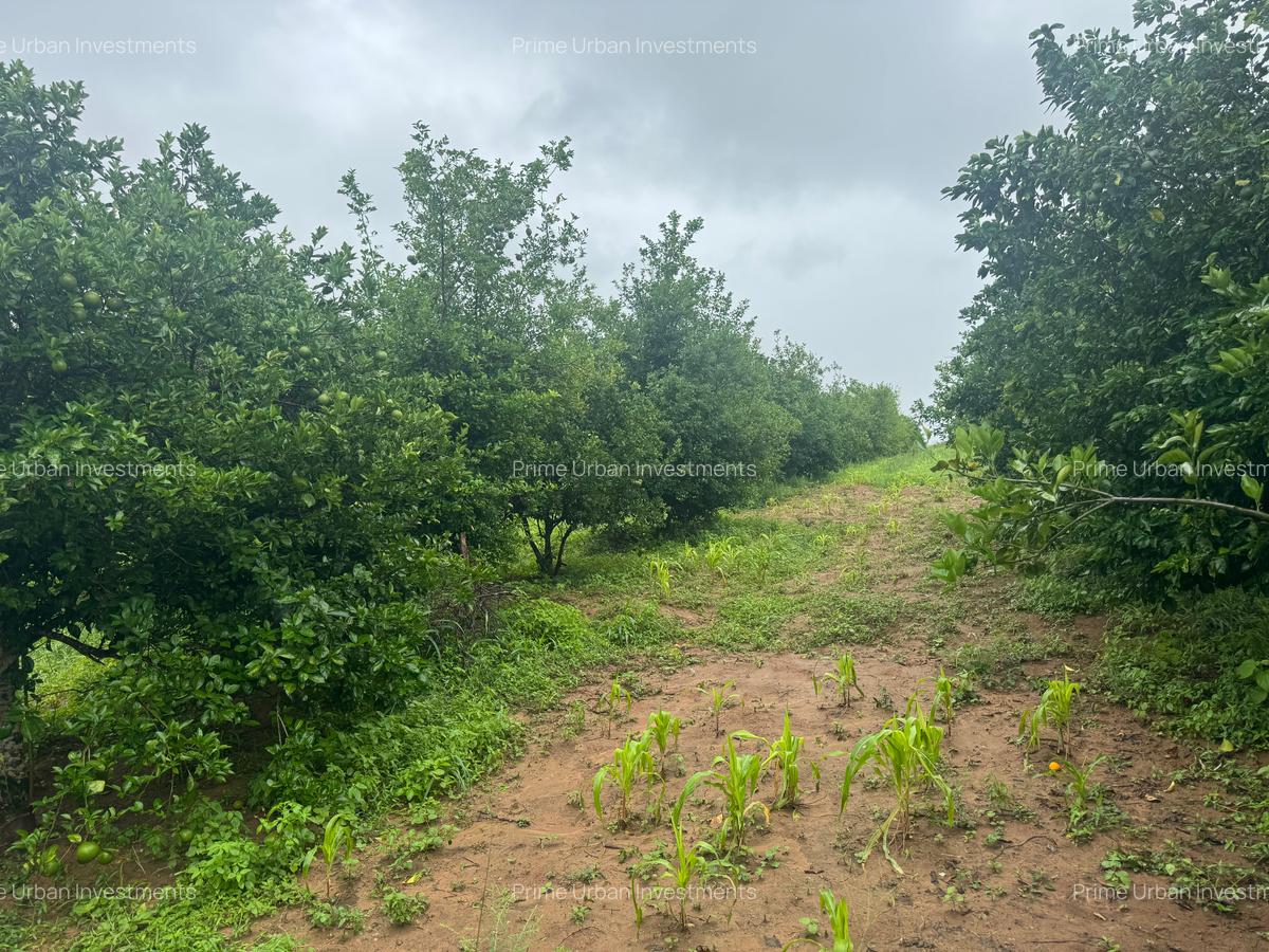 Land in Kilifi - 15