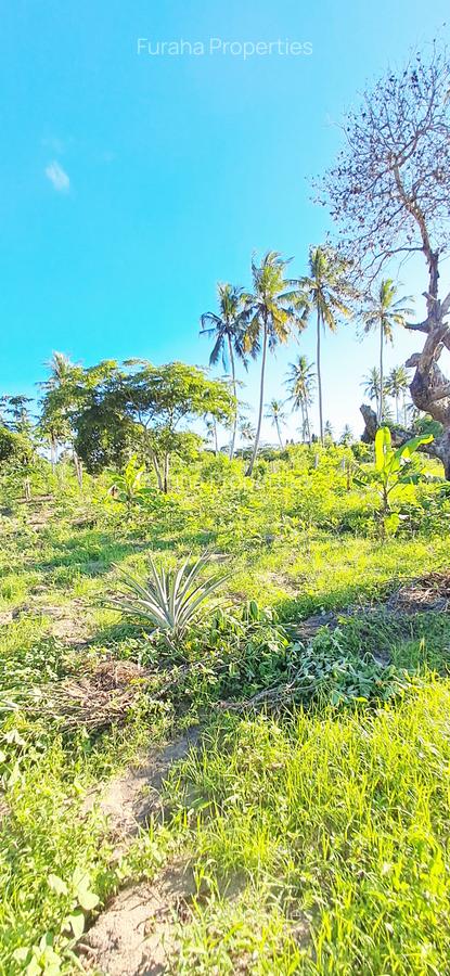 Land at Kwale - 10
