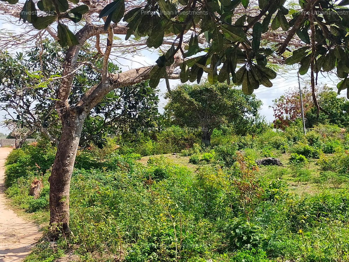 Land in Bofa - 11