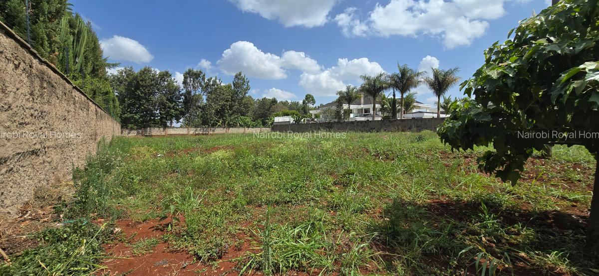 Residential Land at Runda Road - 9