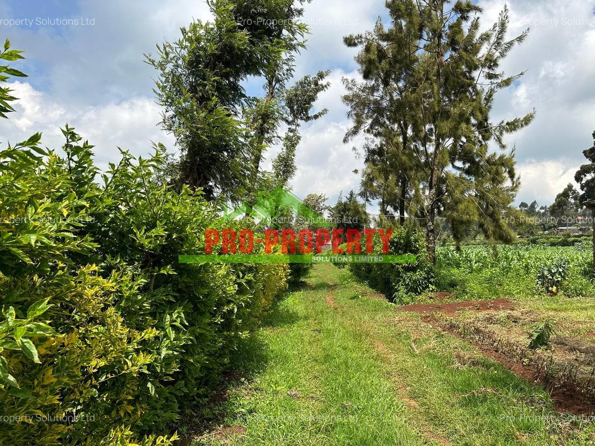 0.4 ha Land at Tilisi - 4