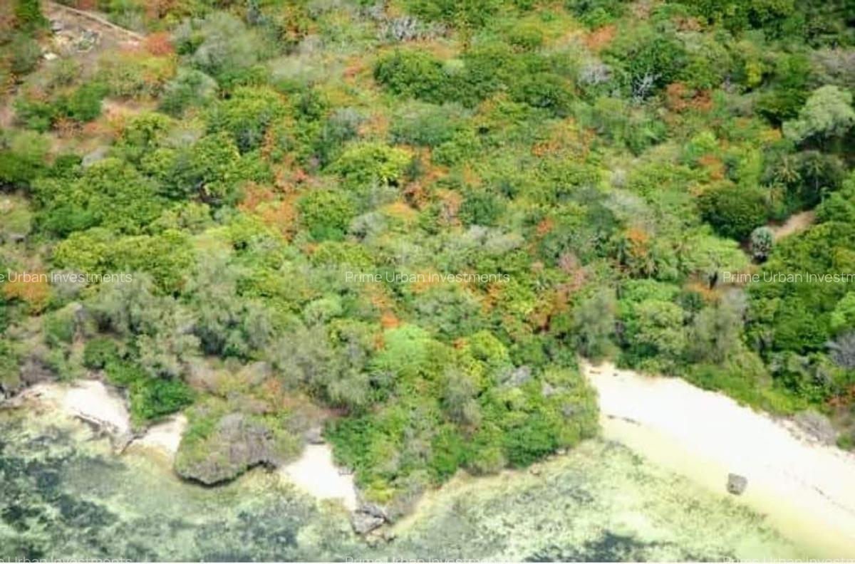 Land at Kuruwitu Beach Vipingo - 6