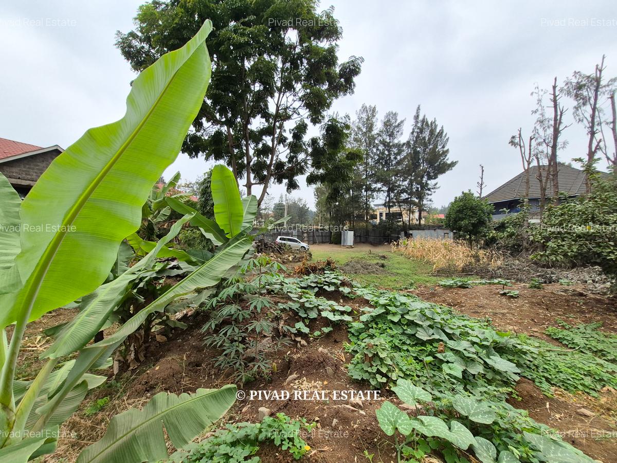 0.25 ac Land at Stream Drive - 4