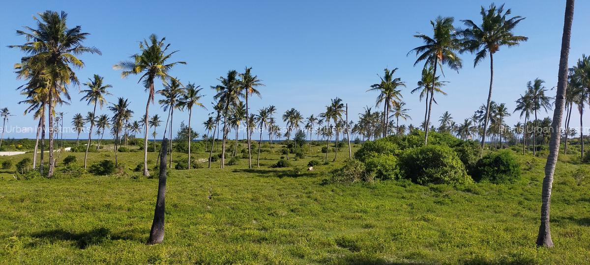 Land in Kilifi - 15