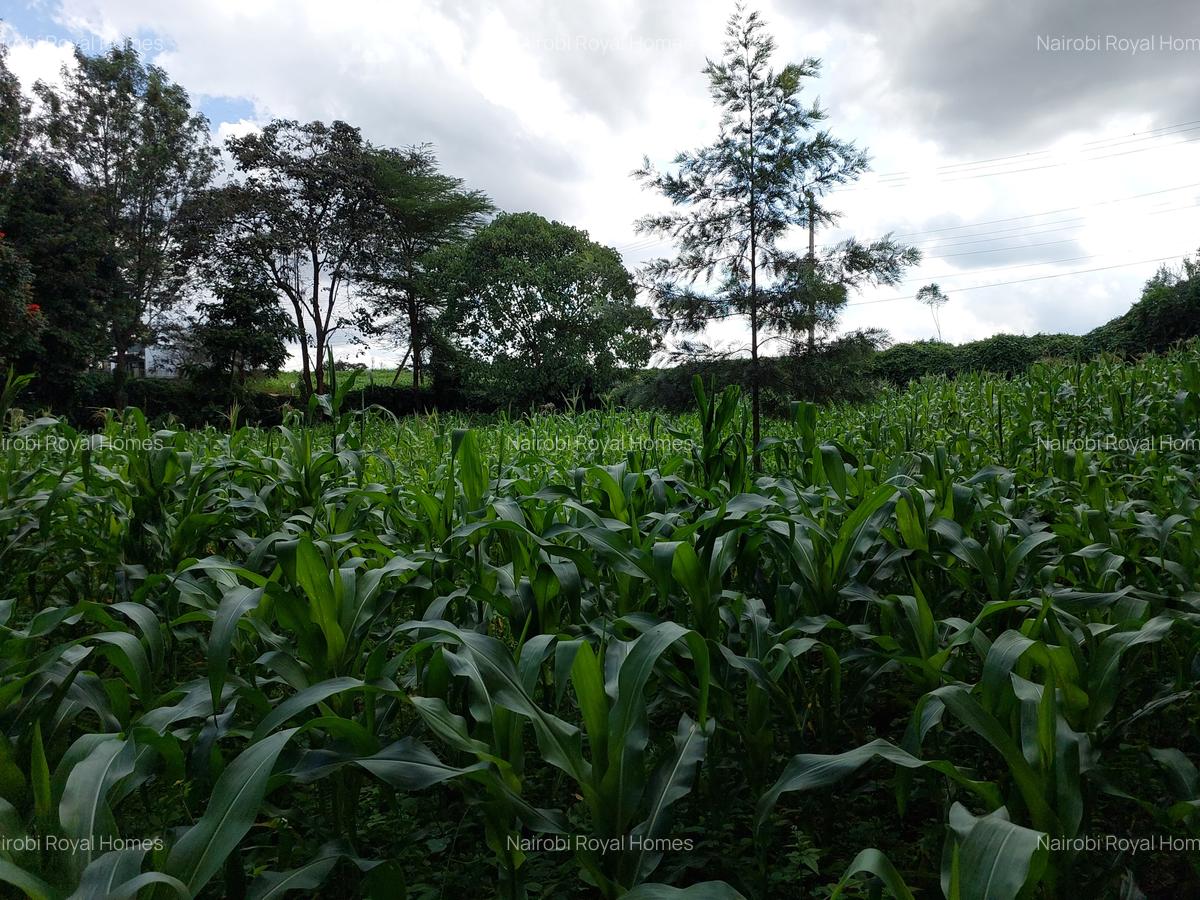 Land at Kirawa Road - 9