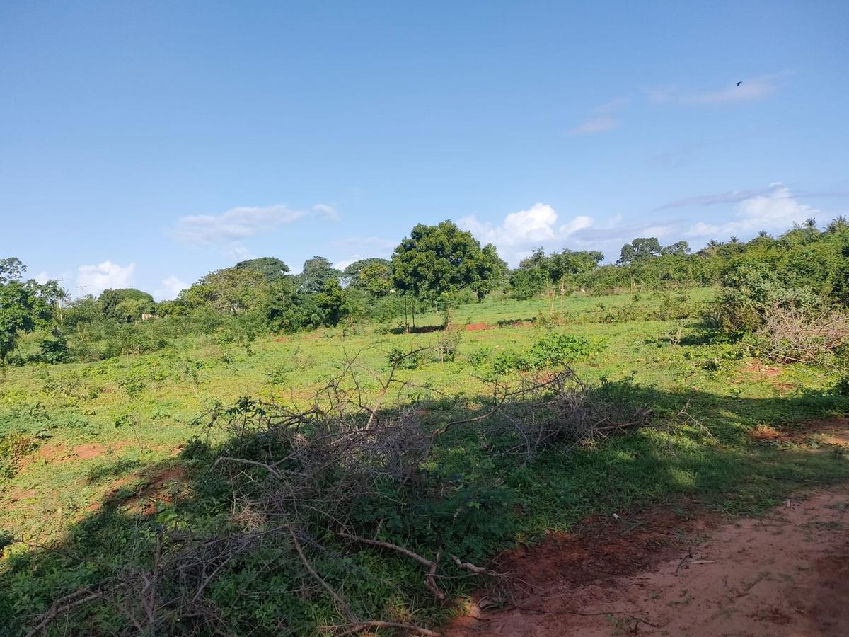 Residential Land at Mtondia Kilifi - 3