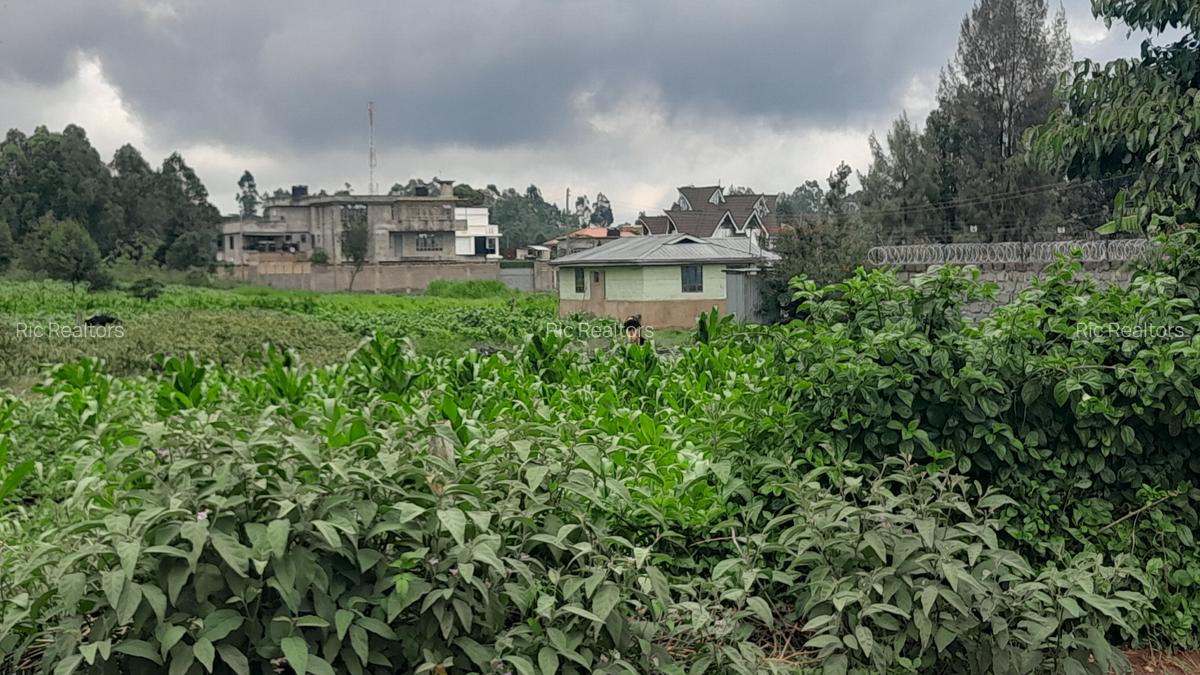0.231 ha Land at Gikamburua - 9