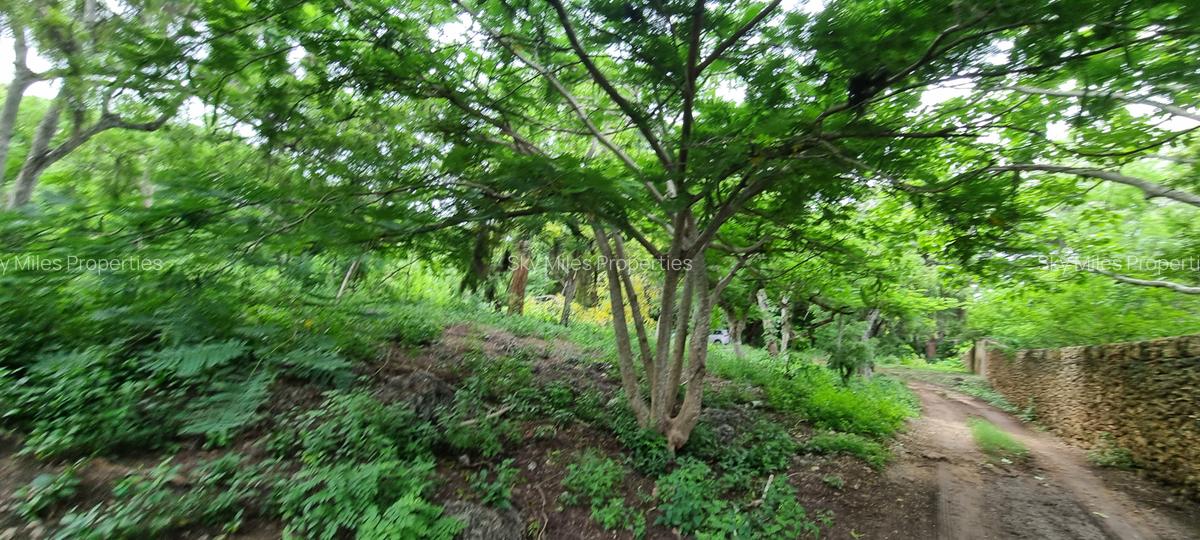 15 ac Land at Kuruwitu - 10