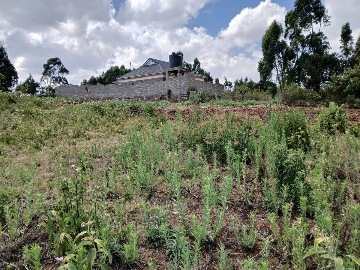 0.05 ac Residential Land at Kamangu - 3