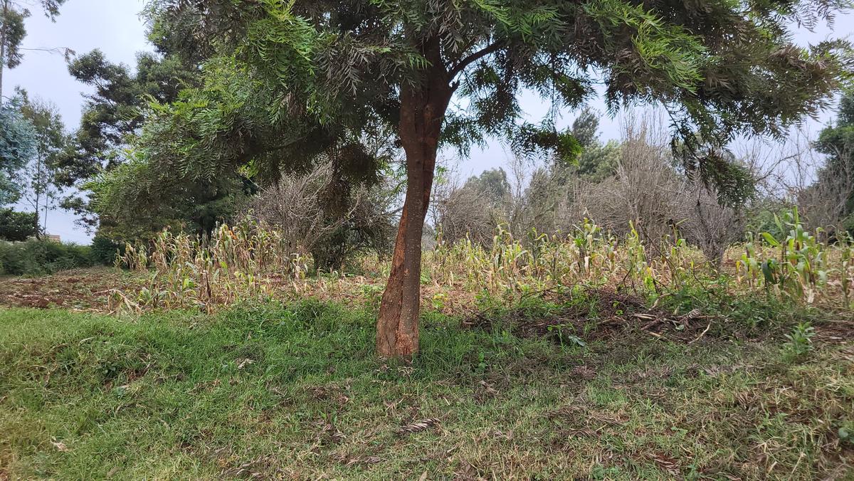 1.2 ac Land at Limuru - Kamandura - 2