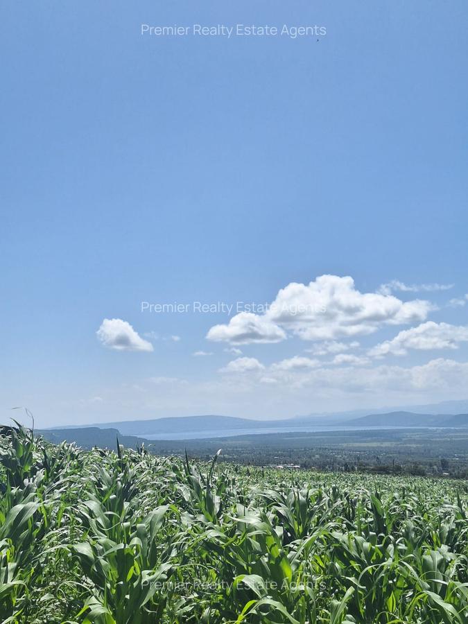 0.25 ac Residential Land at Nakuru - 15