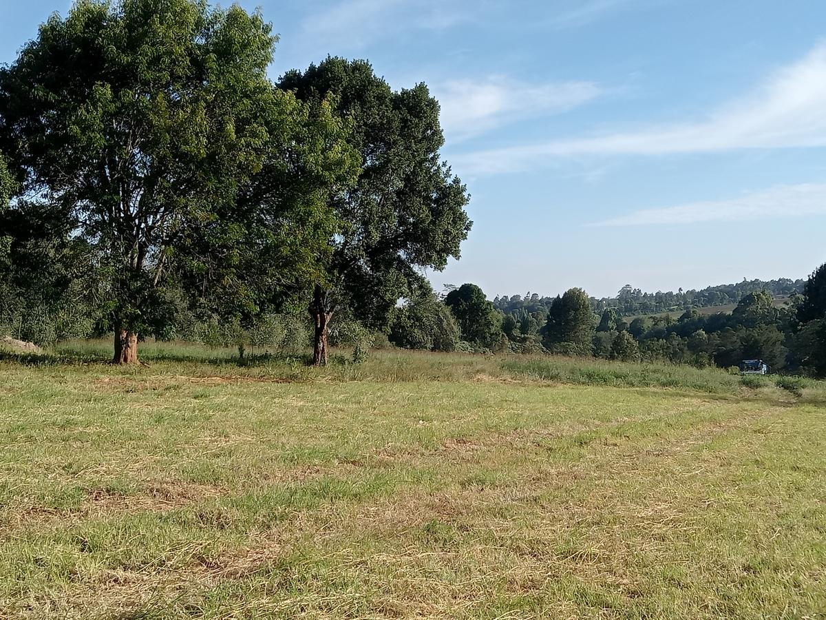 Residential Land in Tigoni - 20